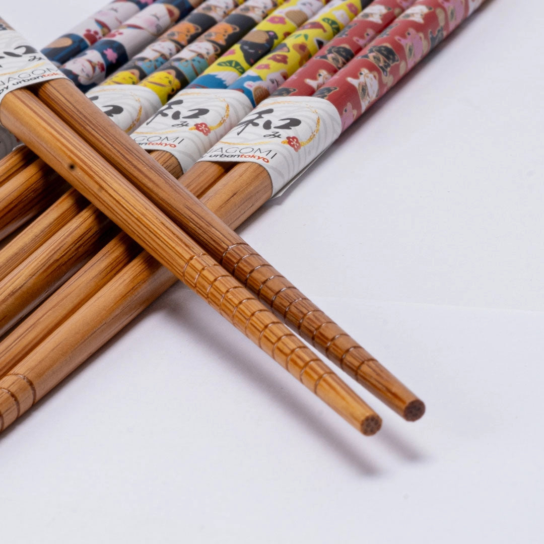 E Prize - 5 Piece Chopsticks Set Lucky Cats Assorted Colors