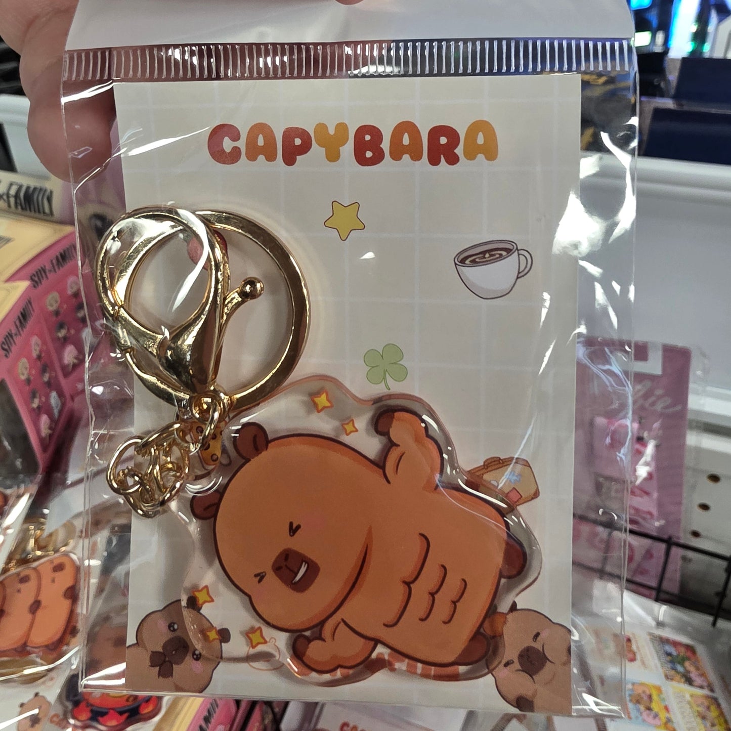 E Prize - Mystery Capybara KeyChain